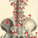 Low back pain treatment and solutions Salt Lake City Chiropractor