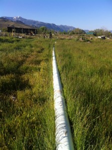 leaky irrigation pipe Leaky irrigation pipe